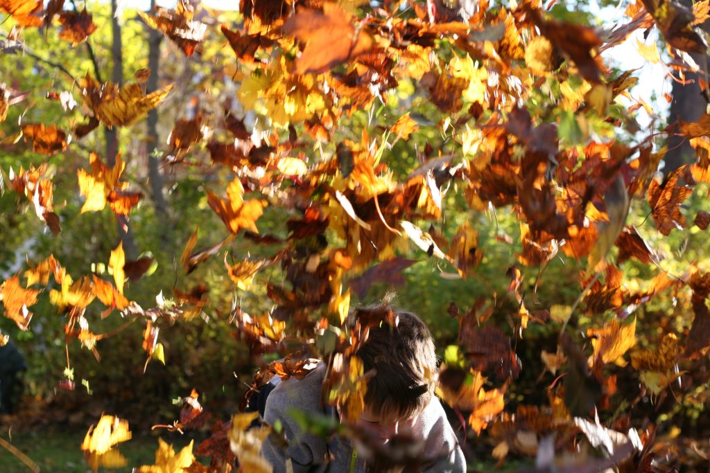 IMG 9268 1024x683