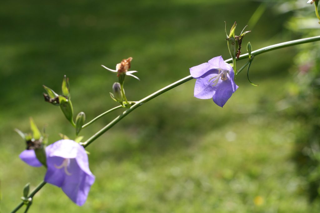 img 9034 img 9034